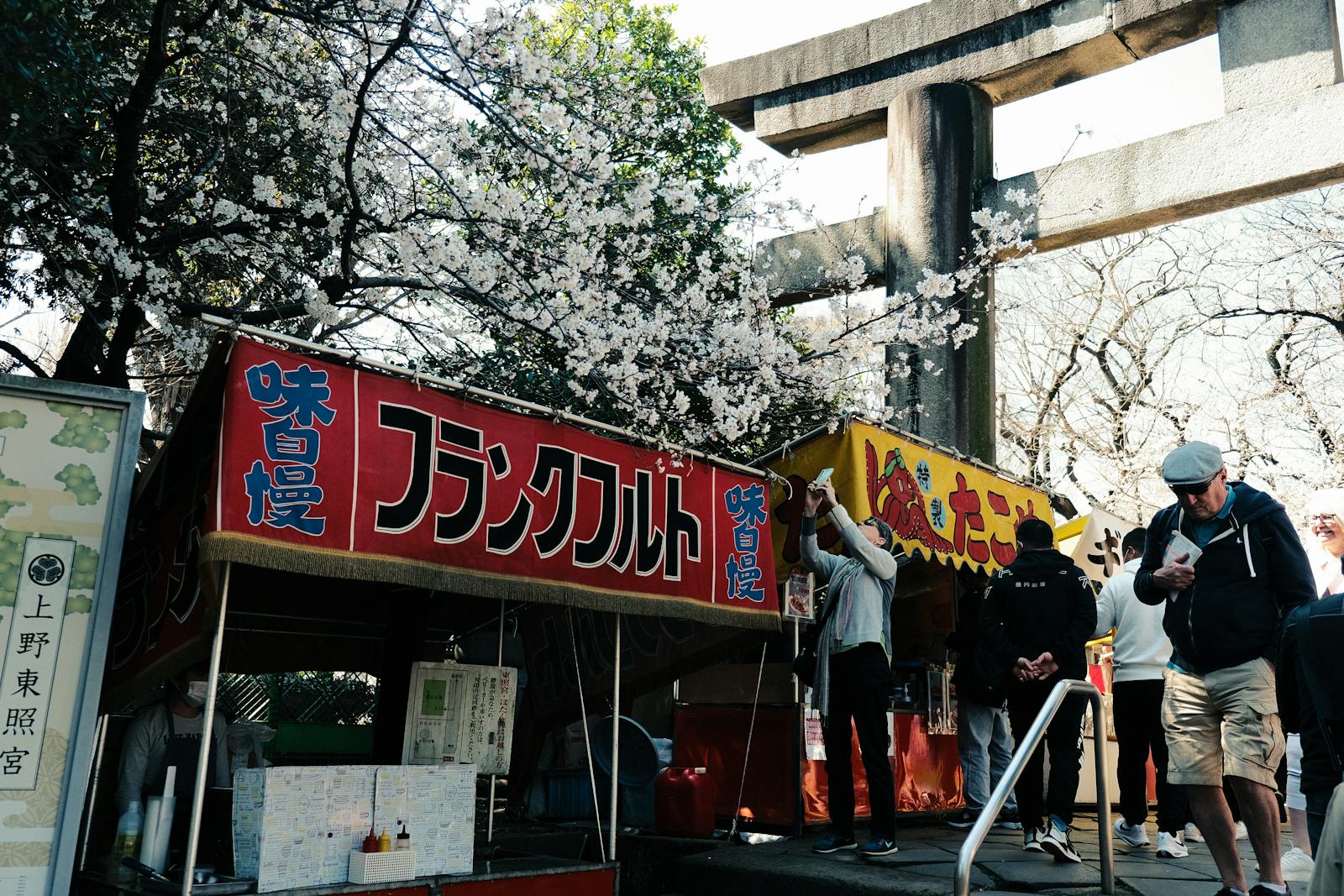 Cherry blossoms and a festival food stall by a shrine in Ueno Park