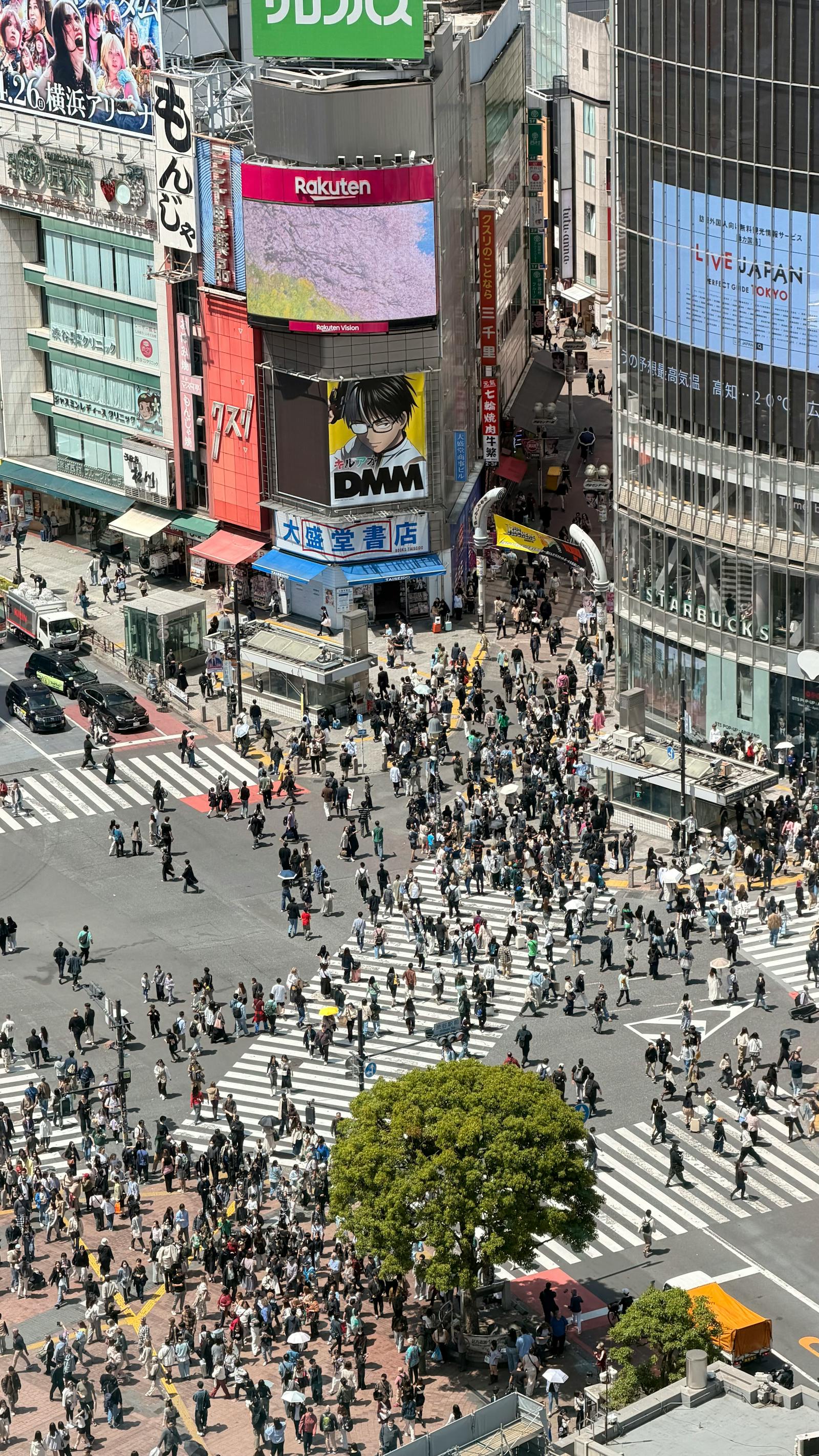 The Shibuya Scramble Crossing from above, packed with crowds and ringed by billboards